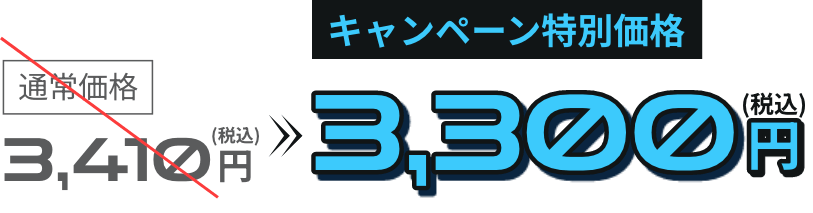 通常価格 3,410円（税込）から キャンペーン特別価格 3,300円（税込）